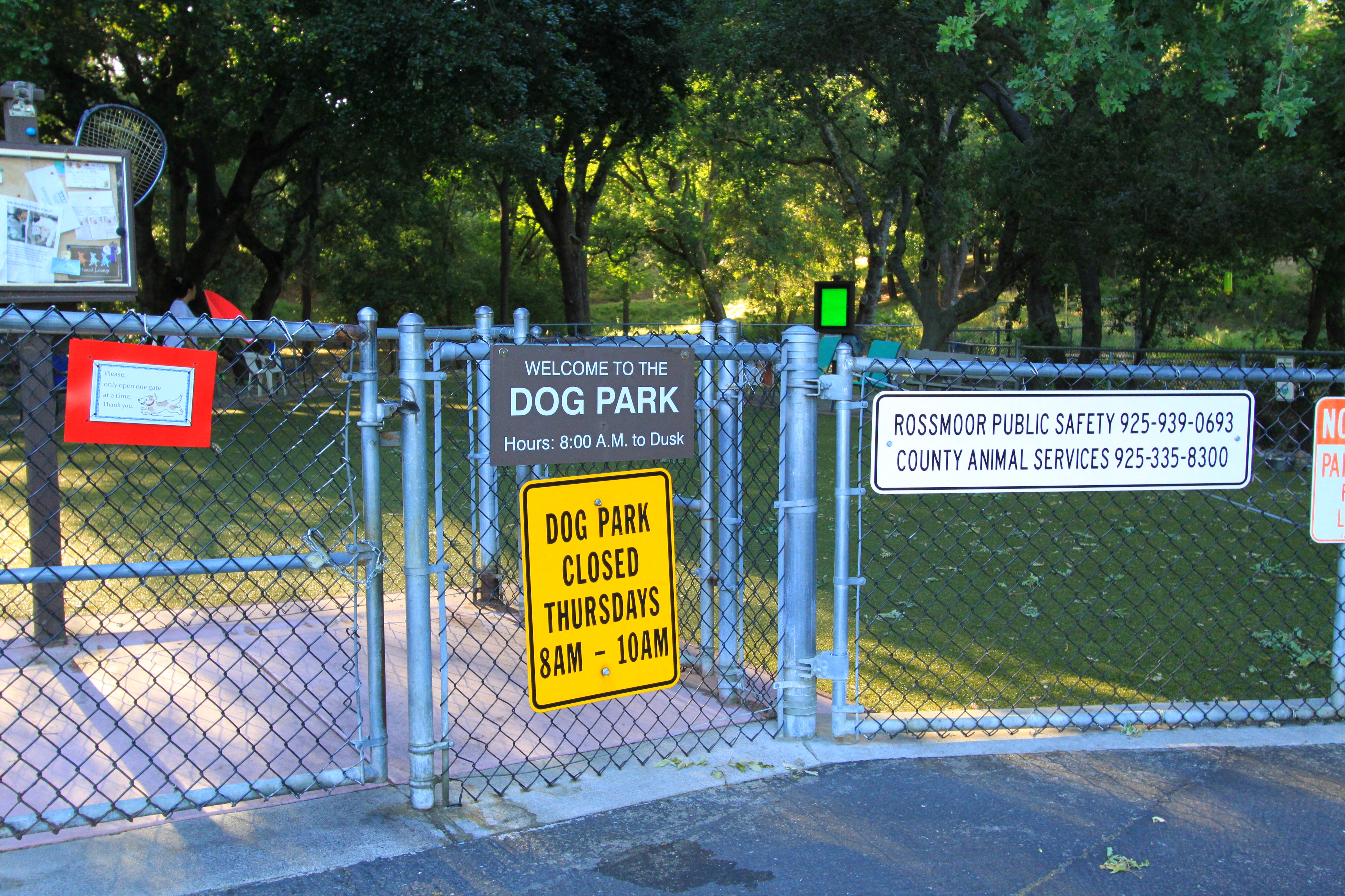 Dog park 2